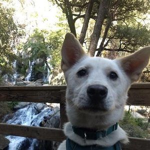 Meet your Posher, Elizabeth